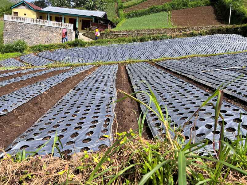 tanah istimewa 206m2 tawangmangu karanganyar