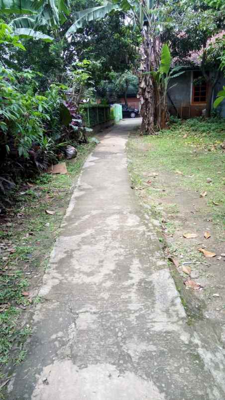 tanah jln h syukur lenteng agung