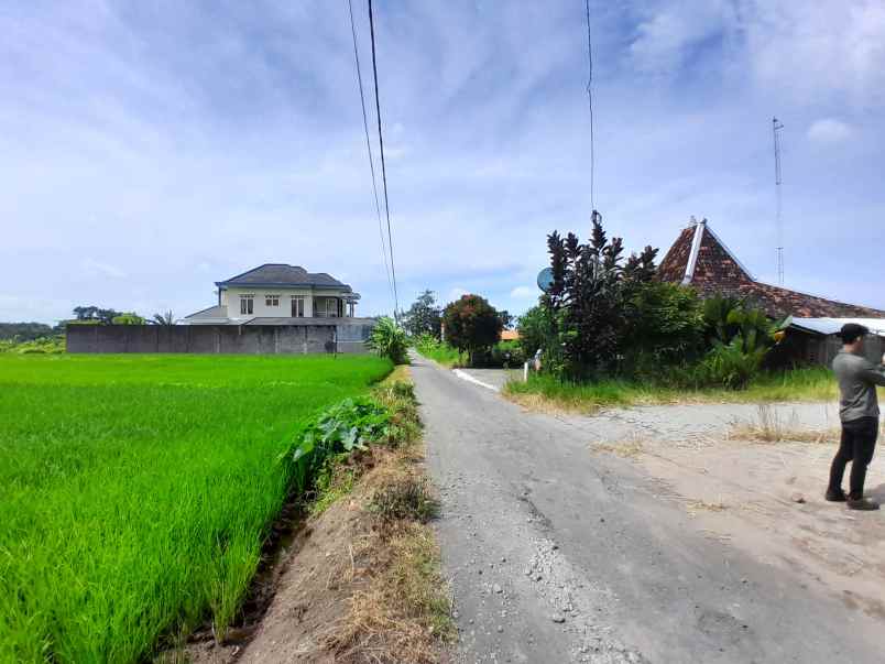 tanah jogja di jl kaliurang view sawah