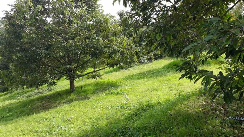 tanah jumapolo karanganyar