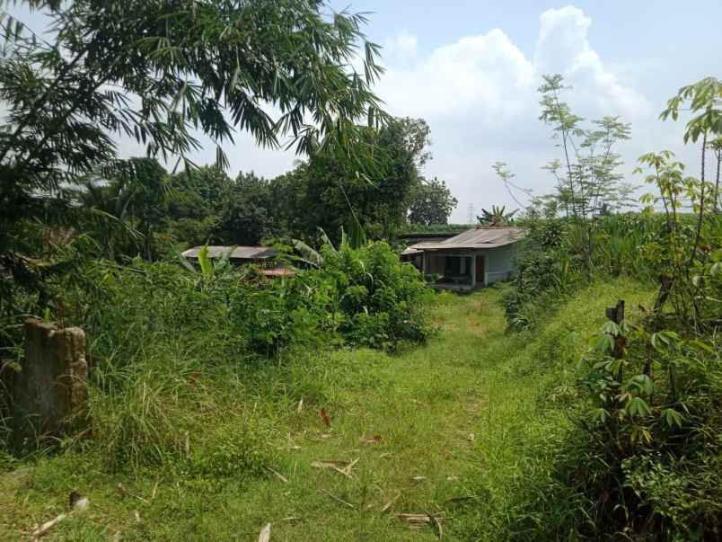 tanah kahrikil ciseeng bogor