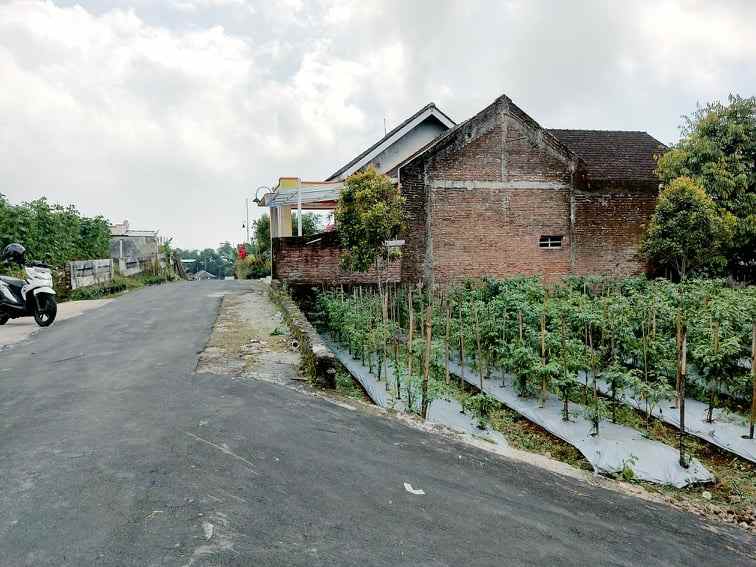 tanah kawasan wisata kebun the