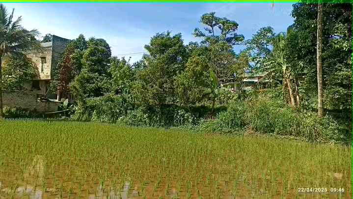 tanah kebun sawah dan villa caringin bogor