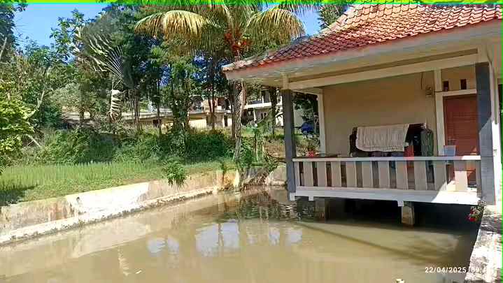 tanah kebun sawah dan villa caringin bogor