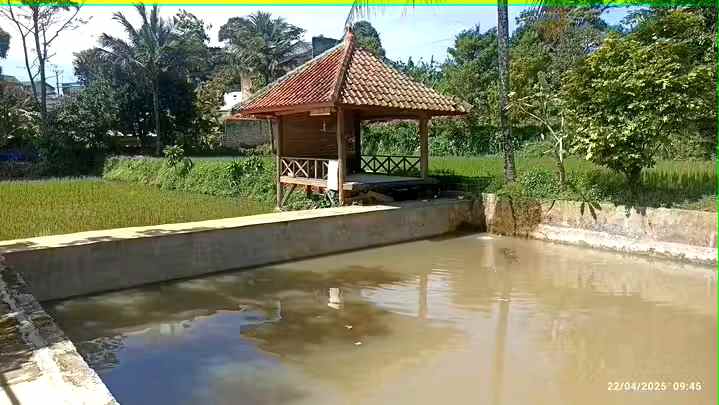 tanah kebun sawah dan villa caringin bogor