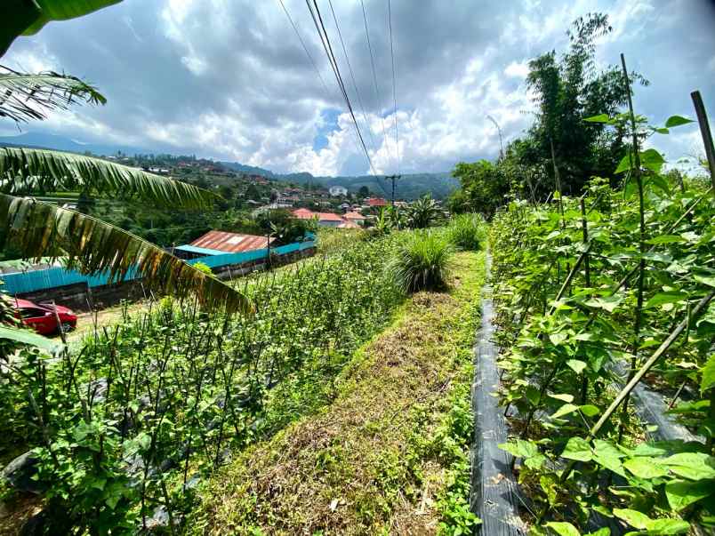 tanah kebun view gunung di baturiti dekat bedugul bali