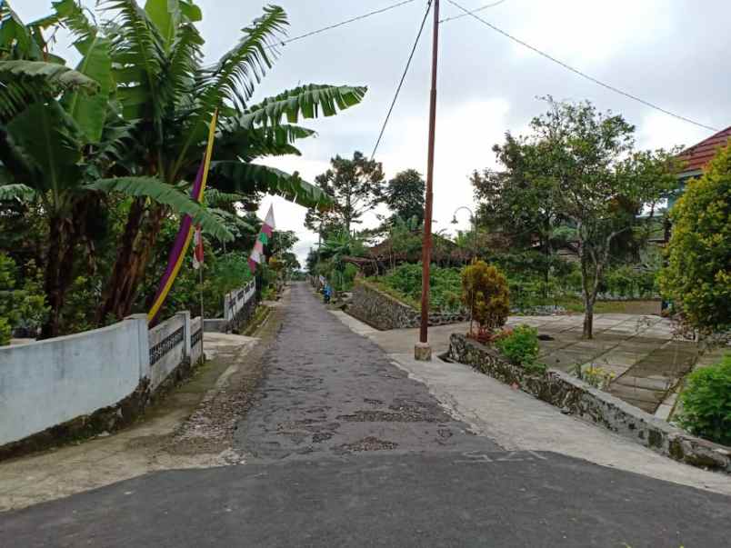 tanah kemuning ngargoyoso