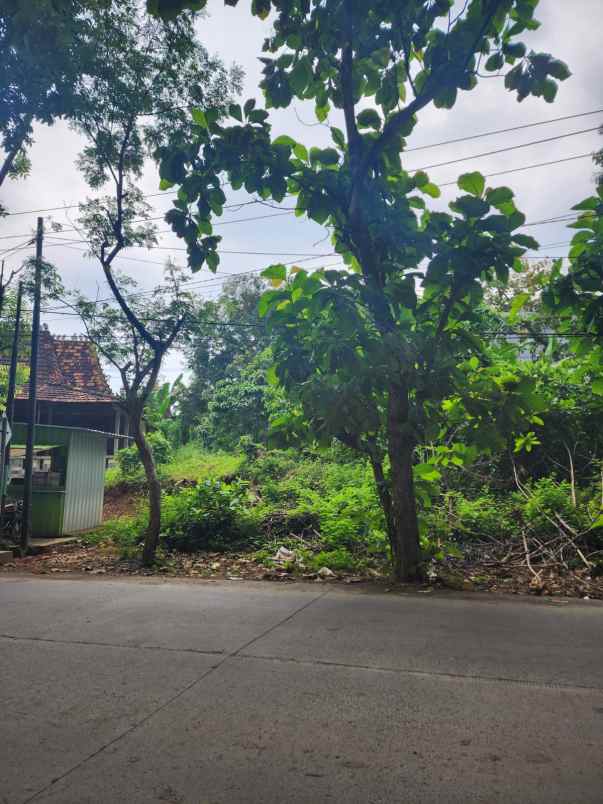 tanah mangunharjo raya tembalang semarang