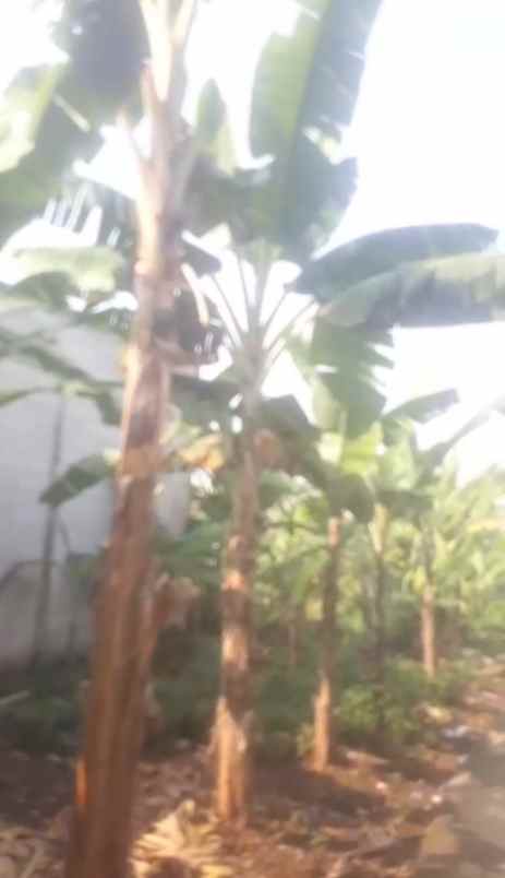 tanah murah 45m pondasi keliling akses motor