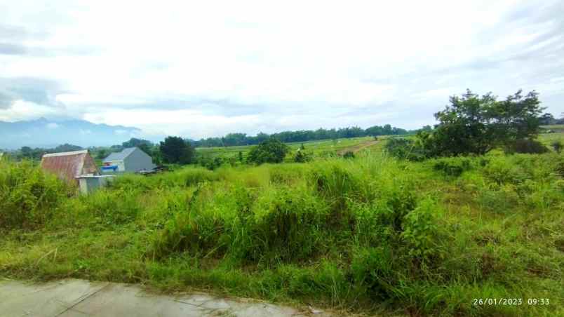 tanah murah di pacet view pegunungan istimewah