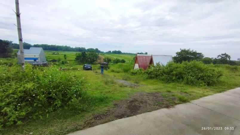 tanah murah di pacet view pegunungan istimewah
