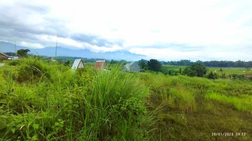 tanah murah di pacet view pegunungan istimewah