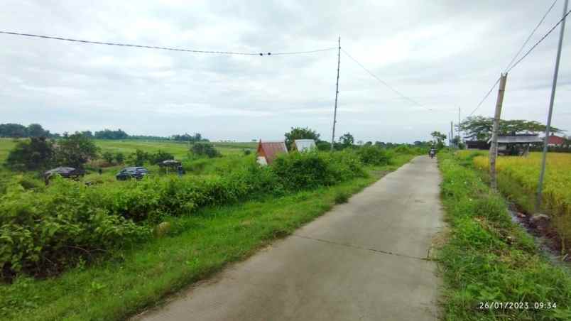 tanah murah di pacet view pegunungan istimewah