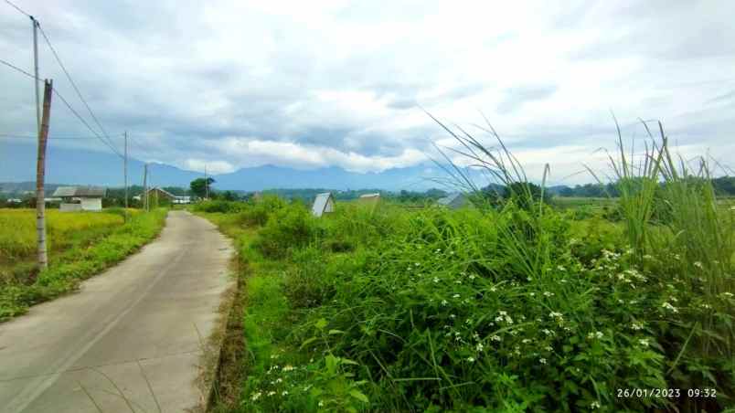 tanah murah di pacet view pegunungan istimewah