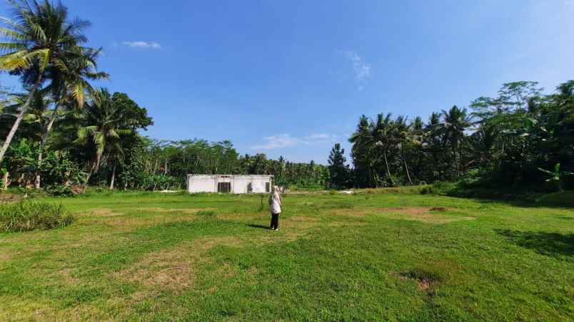tanah murah jogja dekat rs nyi ageng serang
