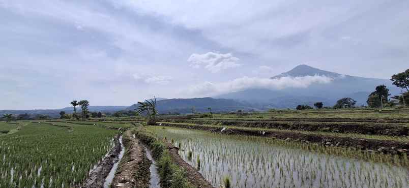 tanah murah kawasan pacet harga murah luasan besar