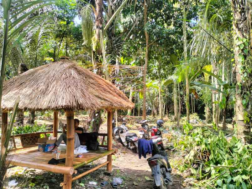 tanah murah pinggir jalan aspal dan dekat pemukiman