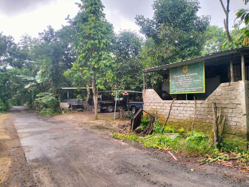 tanah murah pinggir jalan aspal dan dekat pemukiman