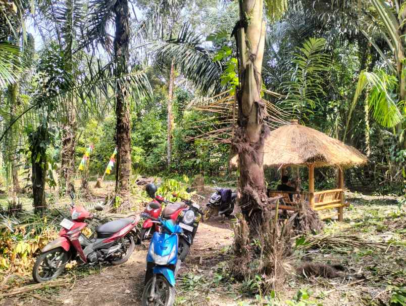 tanah murah pinggir jalan aspal dan dekat pemukiman