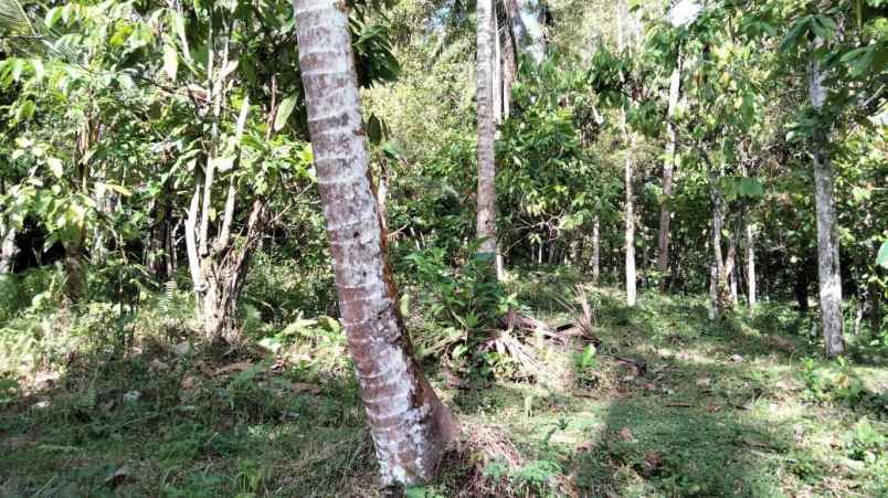 tanah selemadeg tabanan bali