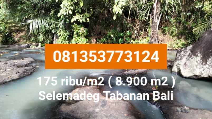 tanah selemadeg tabanan bali