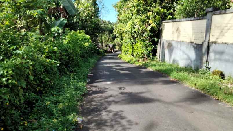 tanah selemadeg tabanan bali