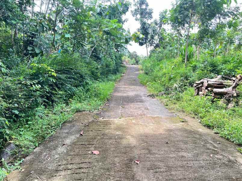 tanah subur 3265m hanya 70rb m kerjo karanganyar