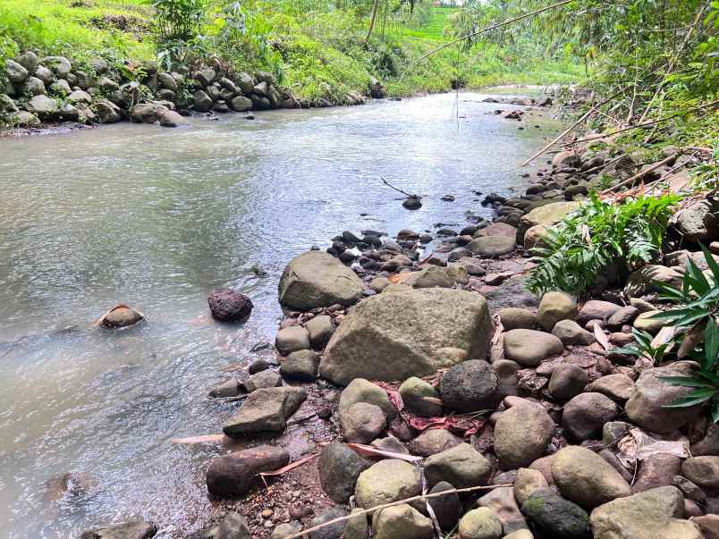 tanah subur 3265m hanya 70rb m kerjo karanganyar