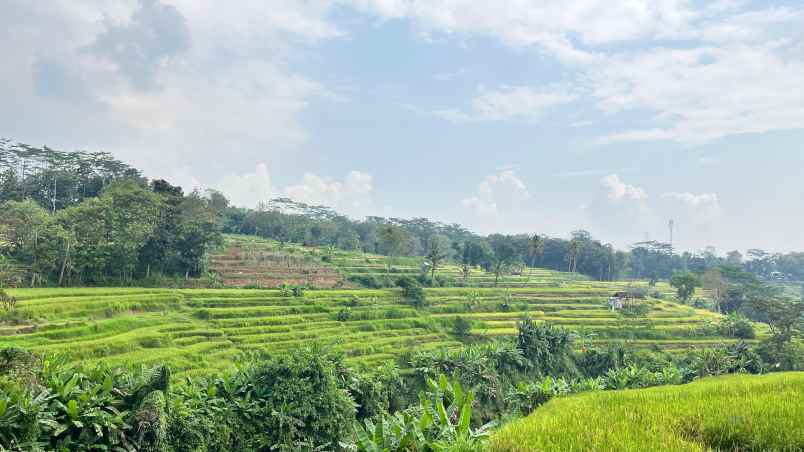 tanah view 1000m mojogedang karanganyar