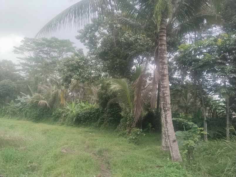 tanah view ke danau jalan cagak subang jawa barat