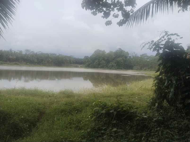 tanah view ke danau jalan cagak subang jawa barat
