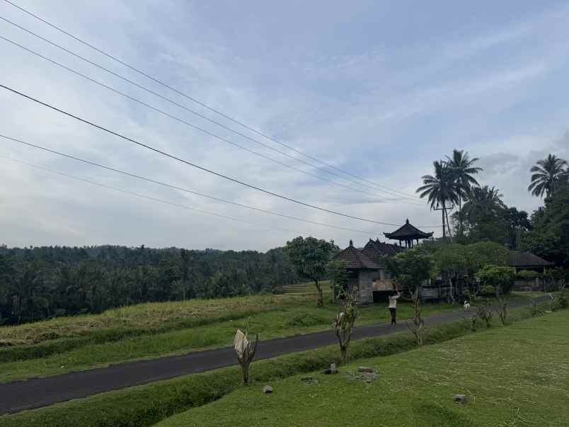 tanah view sawah zona kuning