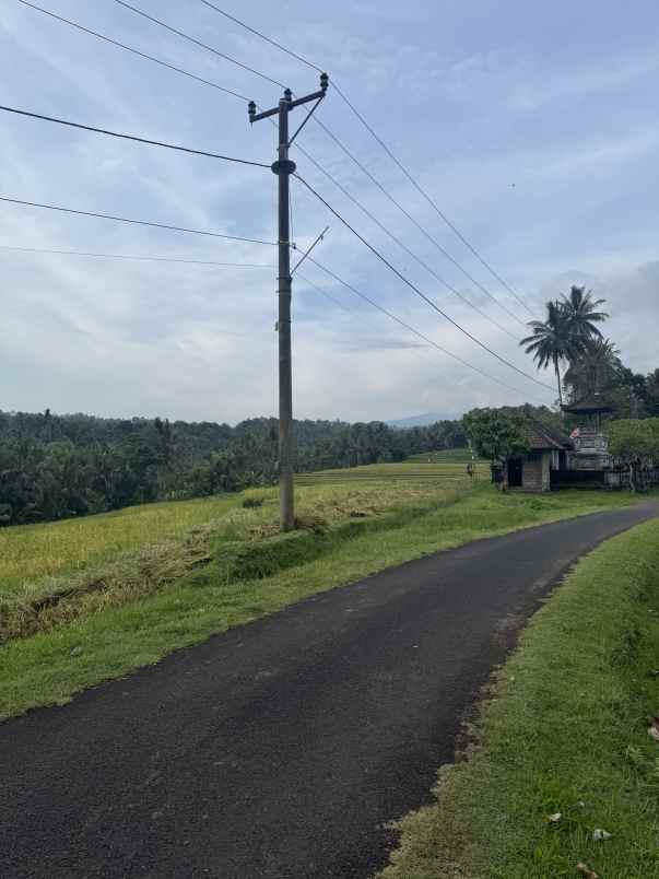 tanah view sawah zona kuning