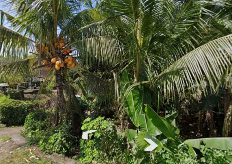 tanah zona kuning dekat pantai soka dan balian bali