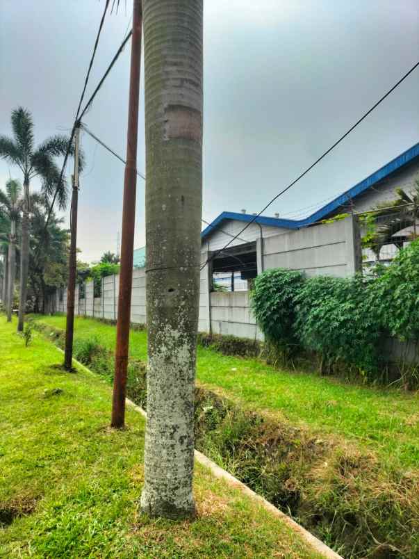 bangunan pabrik di kawasan industri cikupa mas