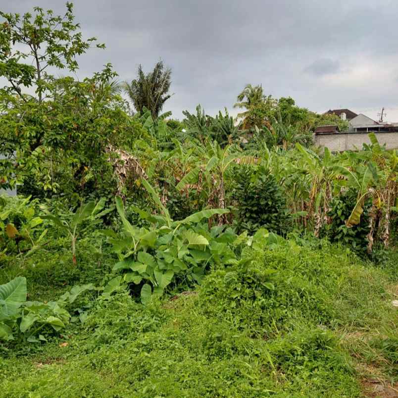 dijual 1 7 are jl pandu raya padonan dalung kuta utara