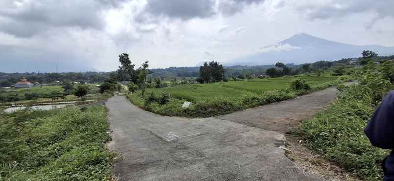 dijual ruko gudang kantor pacet mojokerto jawa timur