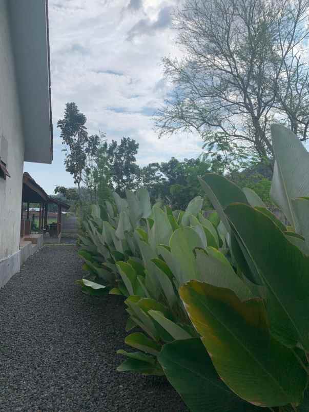 dijual rumah pajangan bantul
