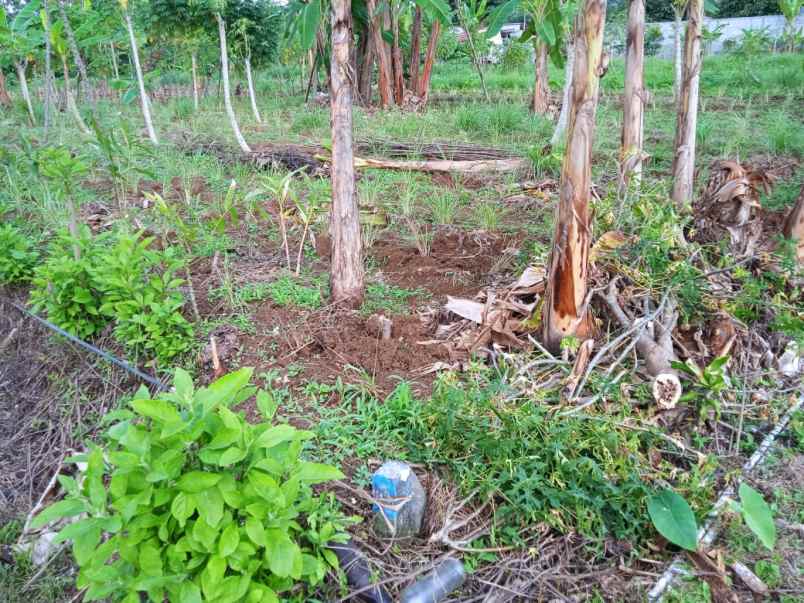 dijual segera tanah pinggir jalan aktif shm