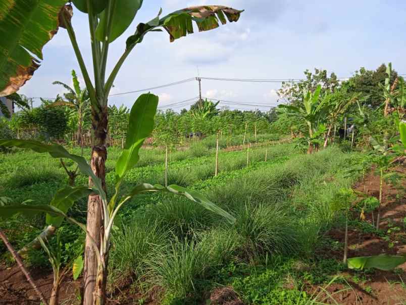 dijual segera tanah pinggir jalan aktif shm