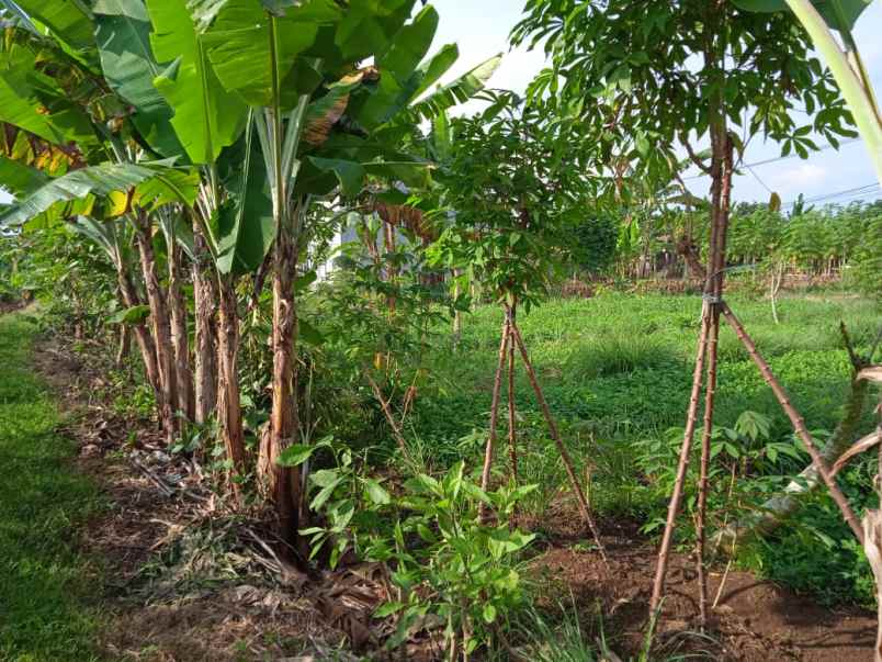 dijual segera tanah pinggir jalan aktif shm