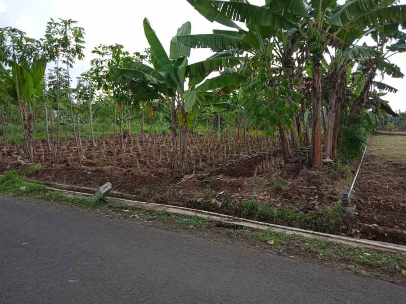 dijual segera tanah pinggir jalan aktif shm