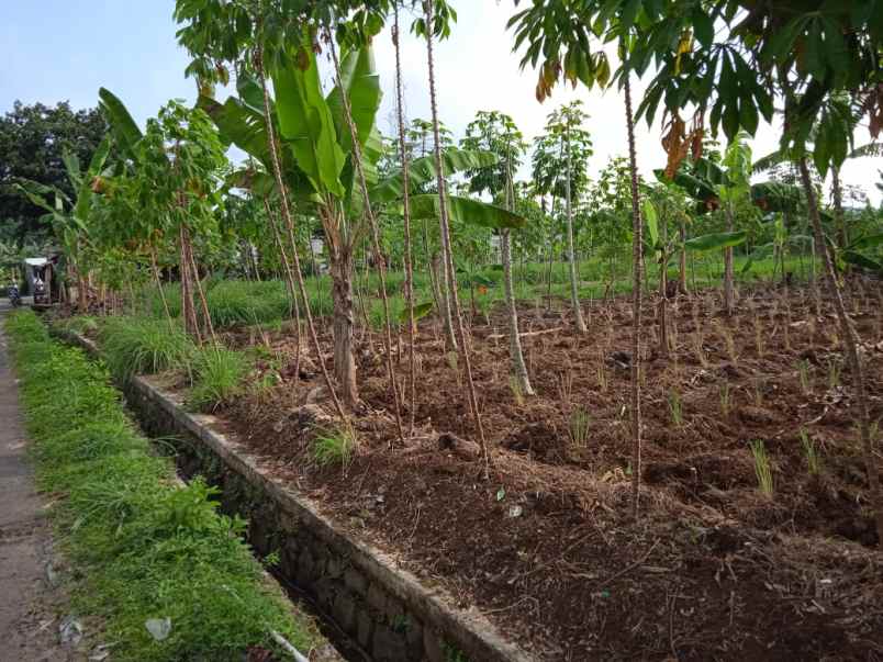 dijual segera tanah pinggir jalan aktif shm