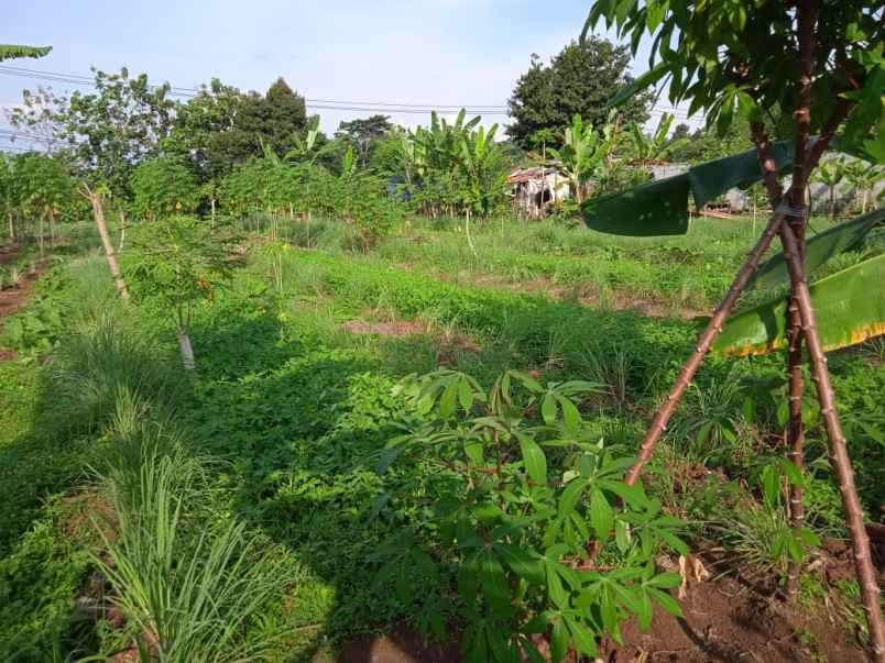 dijual segera tanah pinggir jalan aktif shm