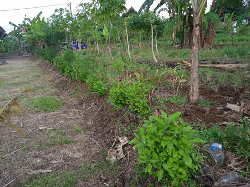 dijual segera tanah pinggir jalan aktif shm