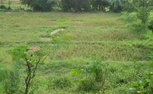 dijual tanah 32 hektar zona industri karawang timur