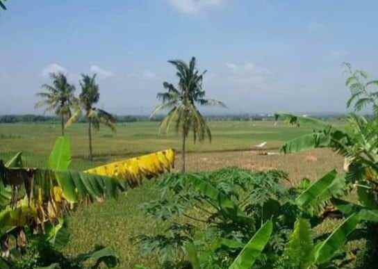 dijual tanah 32 hektar zona industri karawang timur