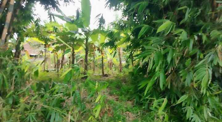 dijual tanah akses jalan mobil masuk di randobawa