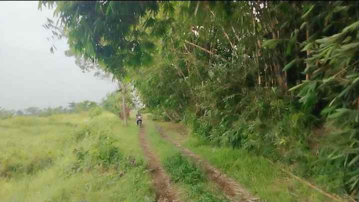 dijual tanah akses jalan mobil masuk di randobawa