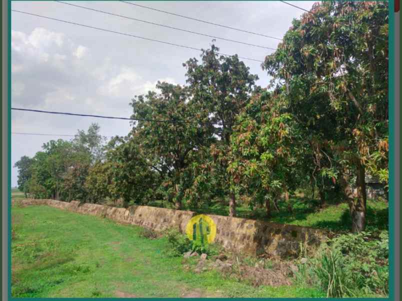 dijual tanah babakan jaya